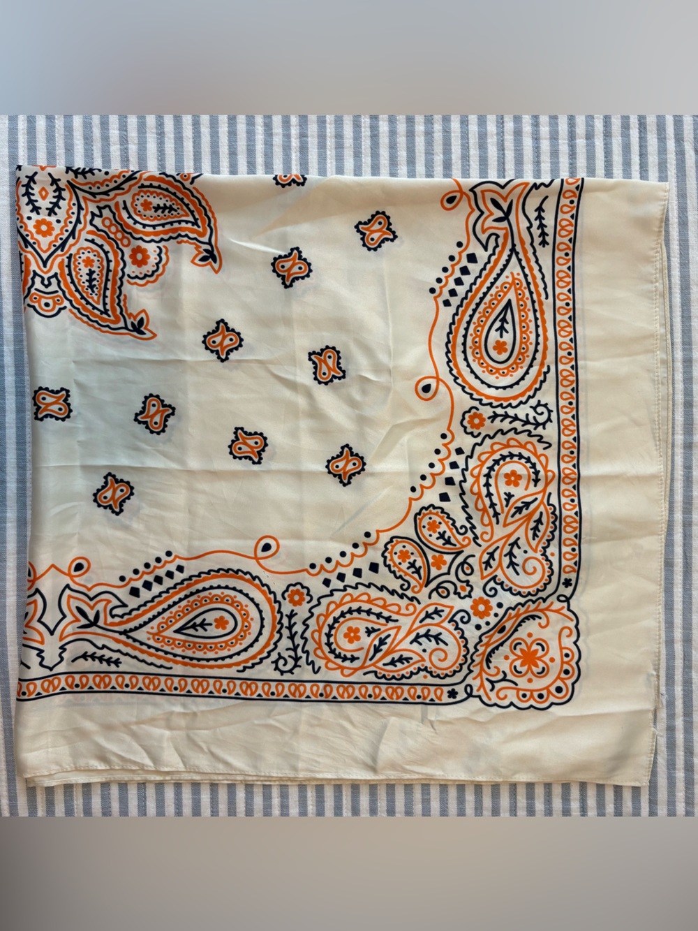 GAP Scarf